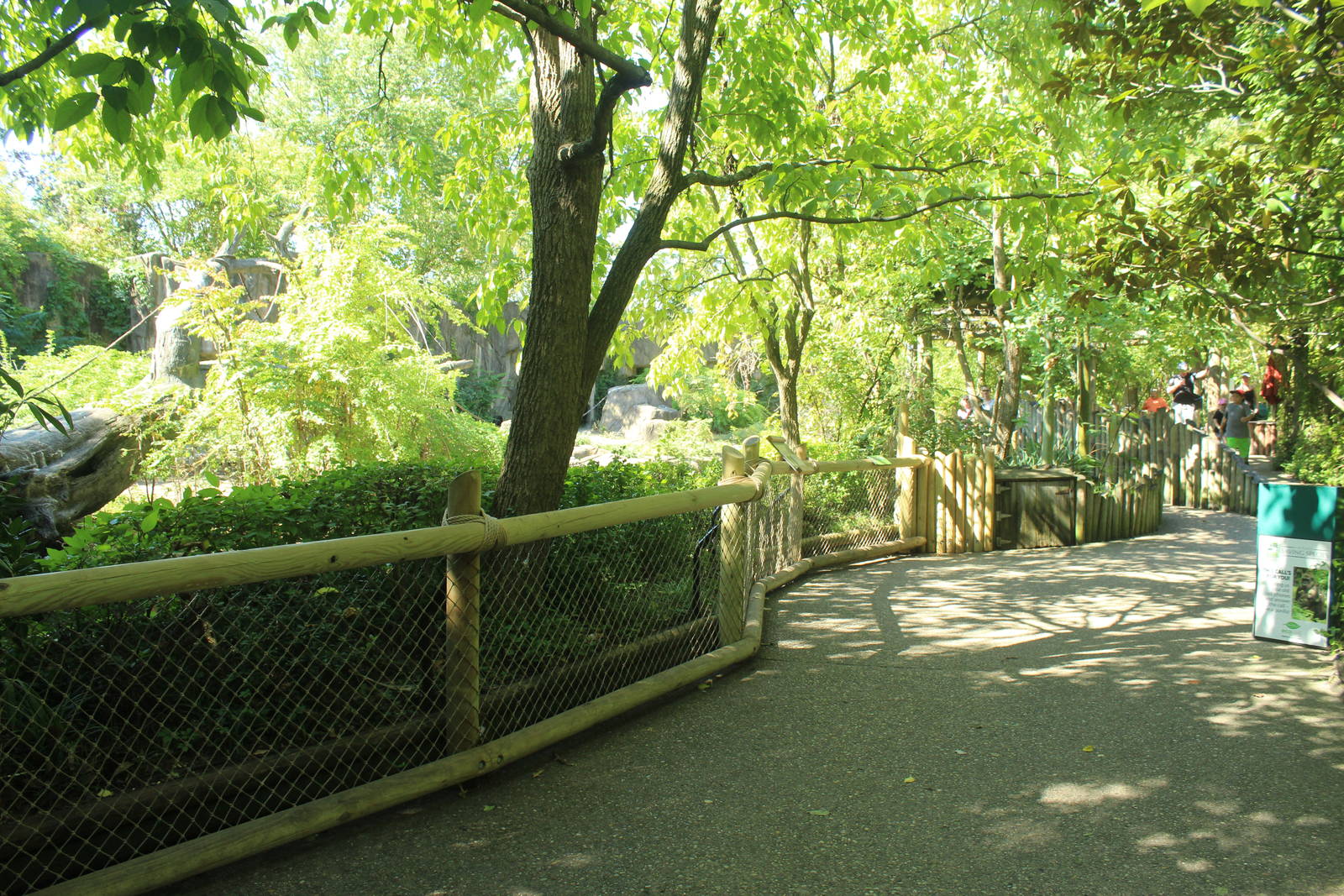 Oct. 2016 - Gorilla World - Exhibit + Viewing