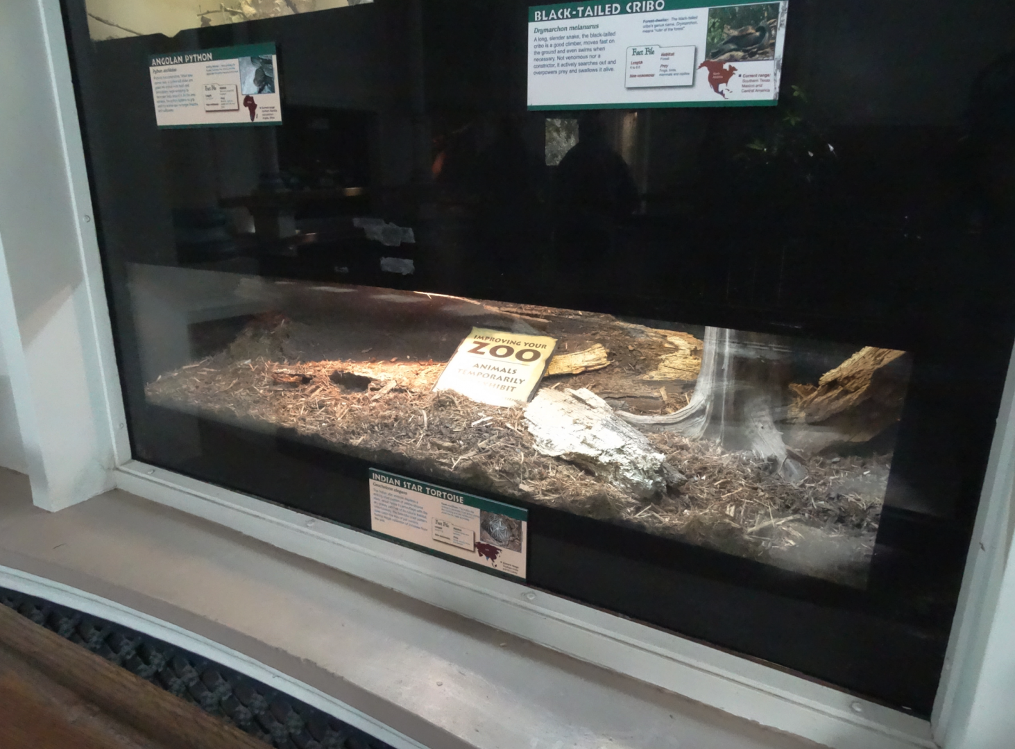 Oct. 2016 - Reptile House - Future Indian Star Tortoise Exhibit