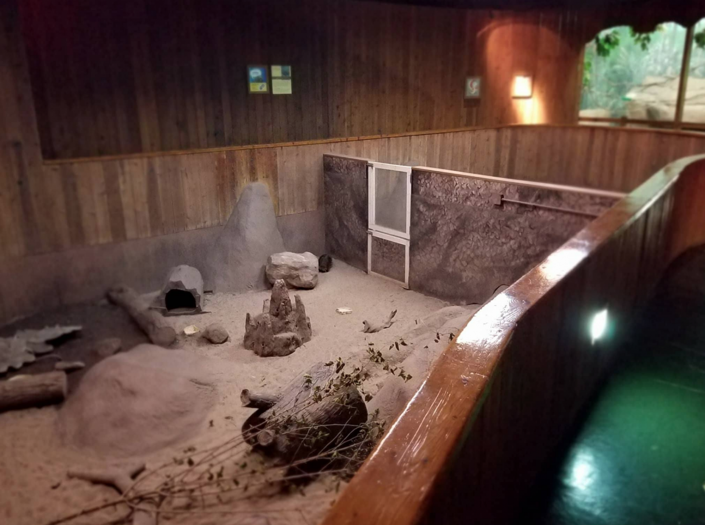 Oct. 2017 - Australia - Echidna Exhibits