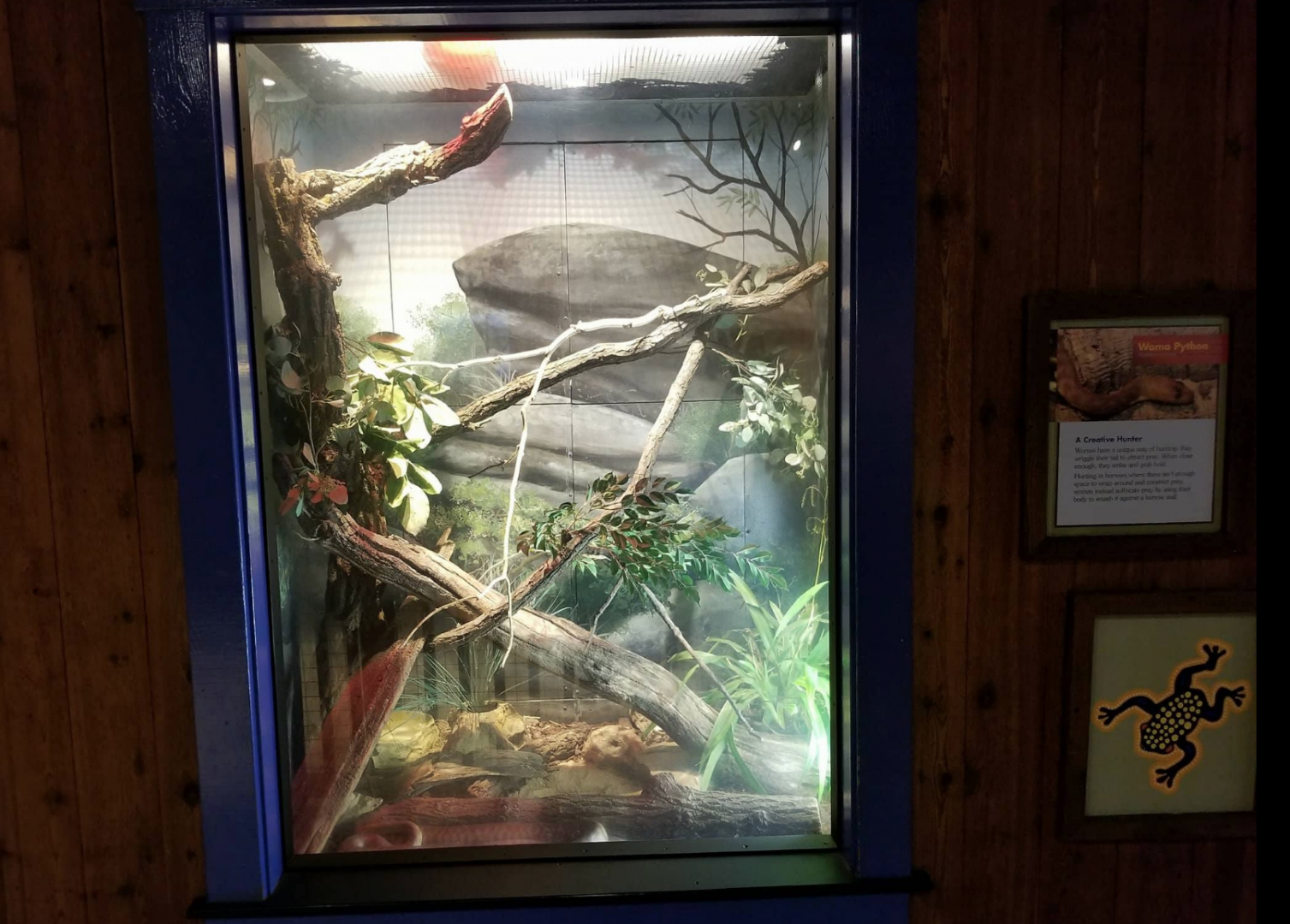 Oct. 2017 - Australia - Woma Exhibit