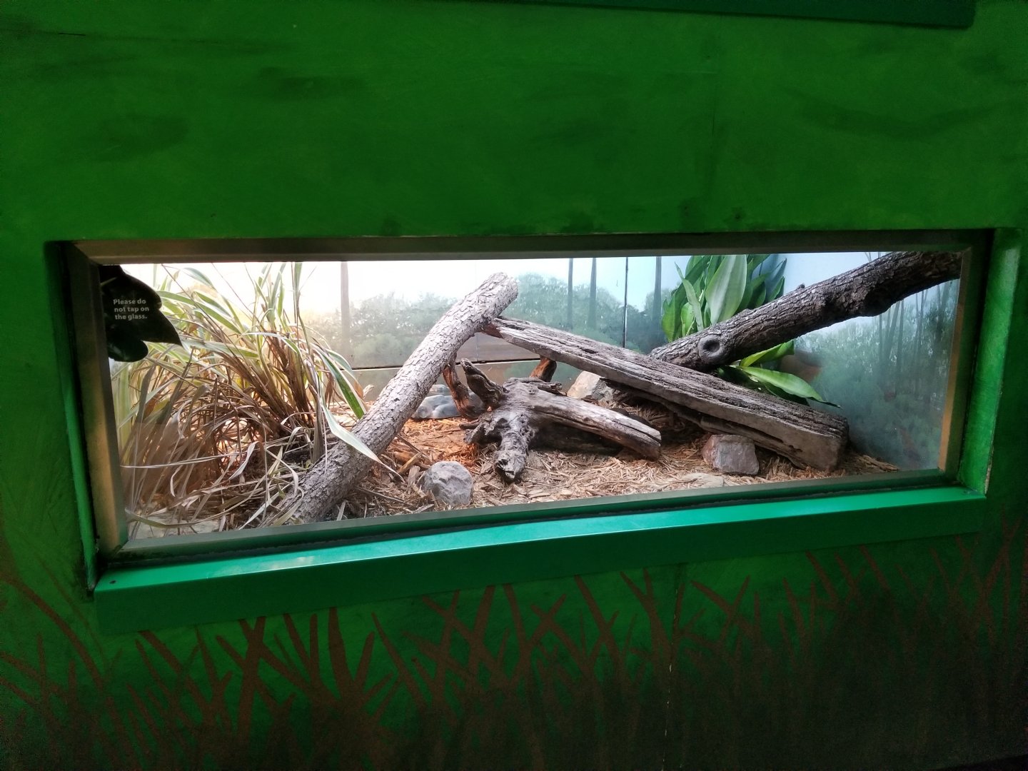 Oct. 2017 - Feathers and Scales - Eastern Indigo Snake Exhibit