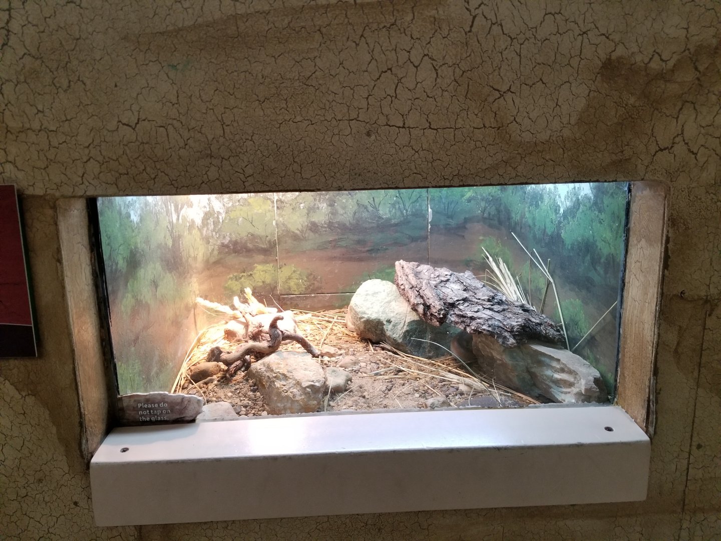 Oct. 2017 - Feathers and Scales - Rosy Boa Exhibit