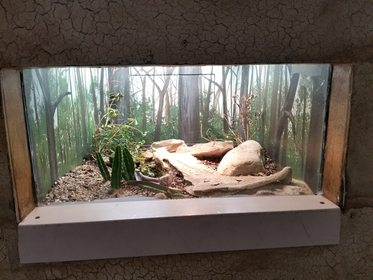 Oct. 2017 - Feathers and Scales - Taylor's Agama Exhibit
