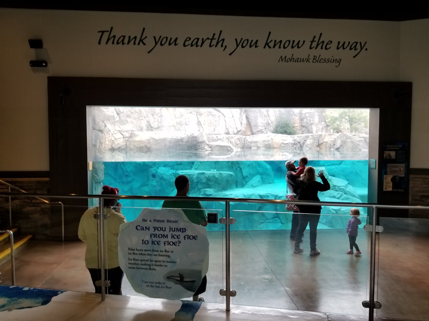 Oct. 2017 - Great Bear Wilderness - Second Bear Underwater Viewing