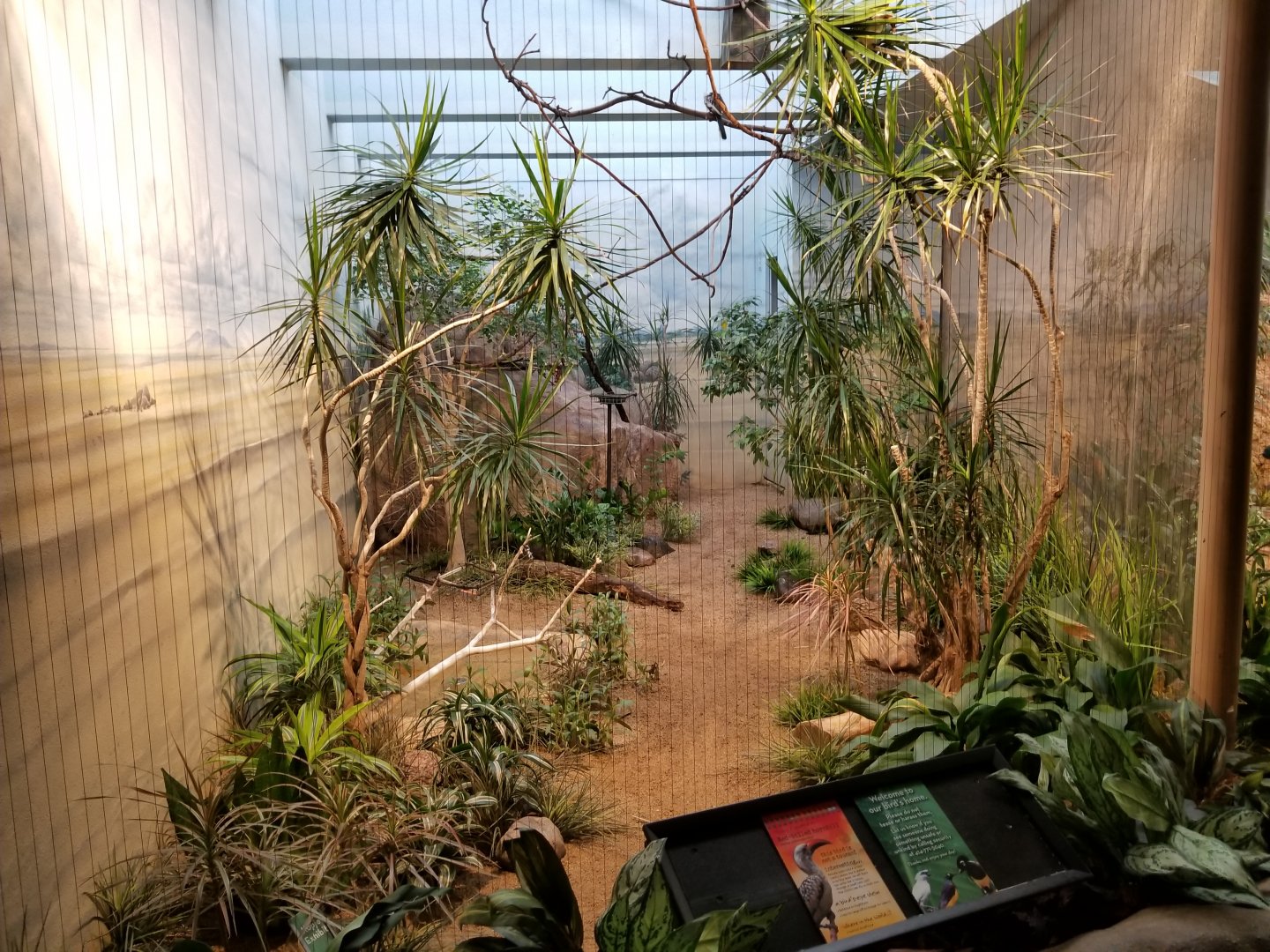 Oct. 2017 - Mahler Family Aviary - African Savanna - Red-billed Hornbill Exhibit