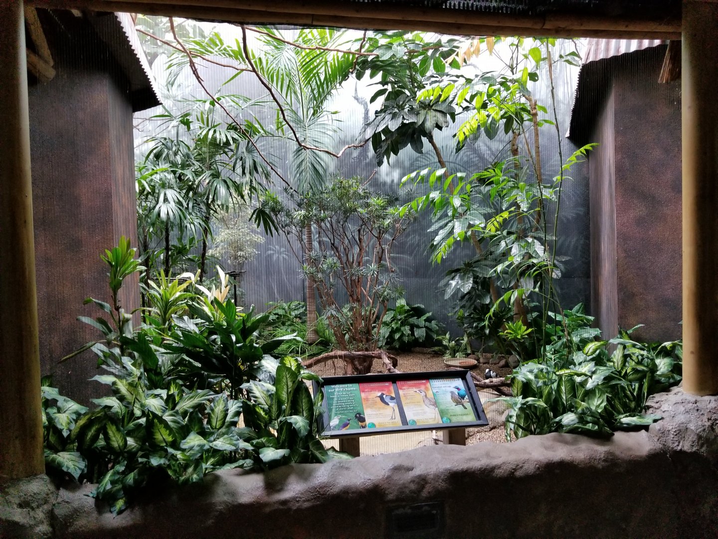 Oct. 2017 - Mahler Family Aviary - Spangled Cotinga, Blacksmith Plover, Cape Thicknee Exhibit