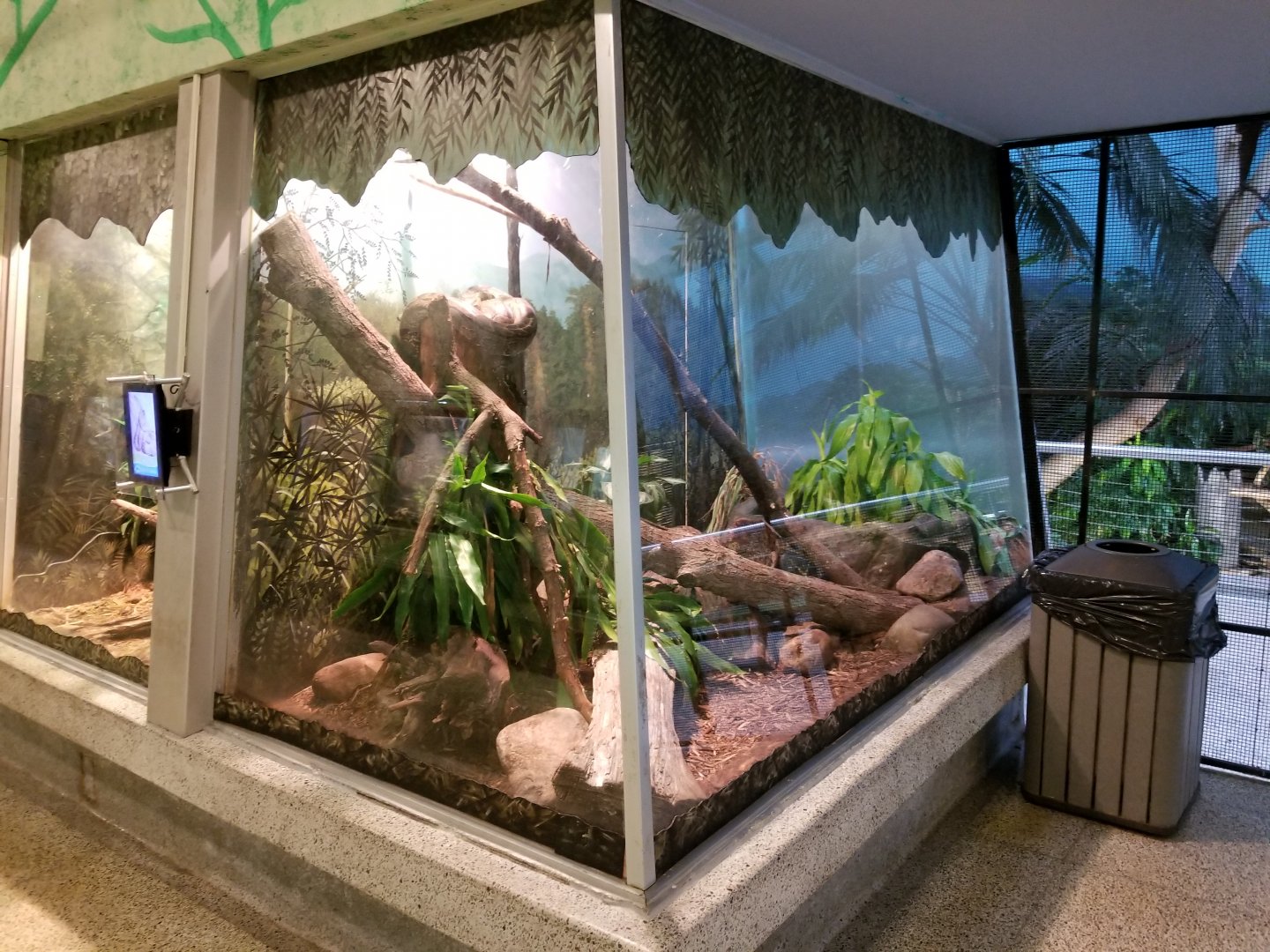 Oct. 2017 - Reptiles and Birds - African Rock Python Exhibit