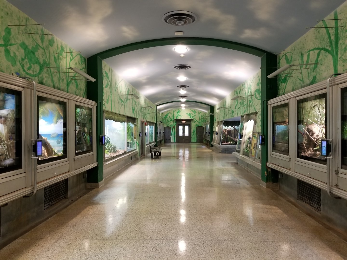 Oct. 2017 - Reptiles and Birds