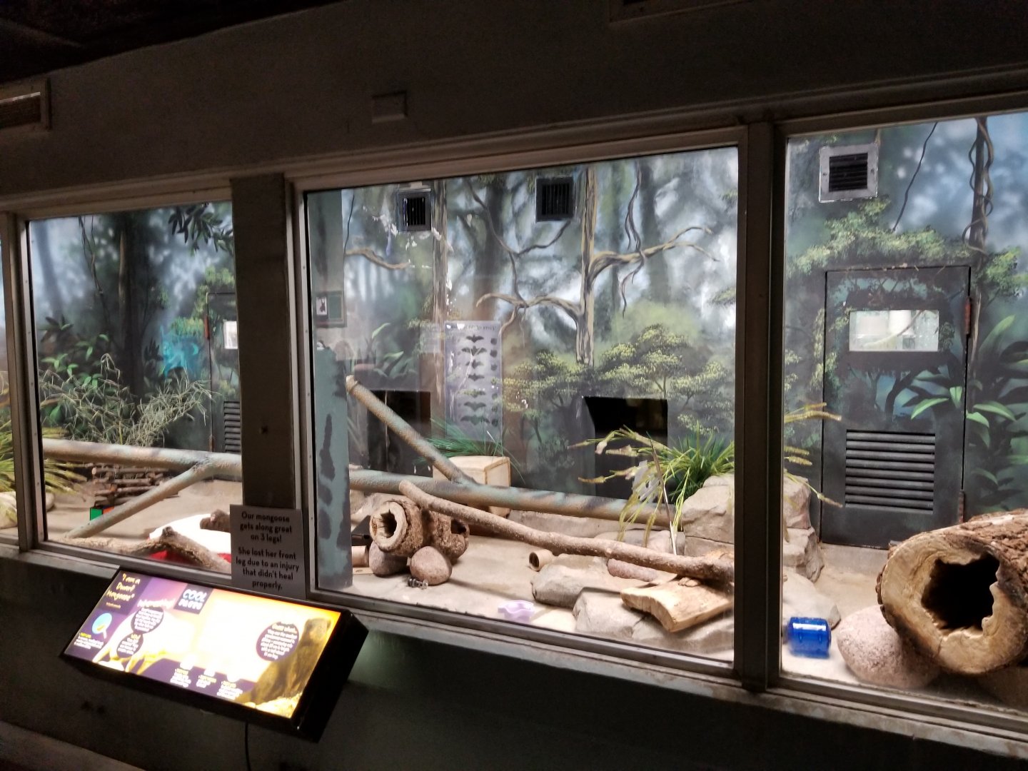 Oct. 2017 - Small Mammals - Dwarf Mongoose Exhibit