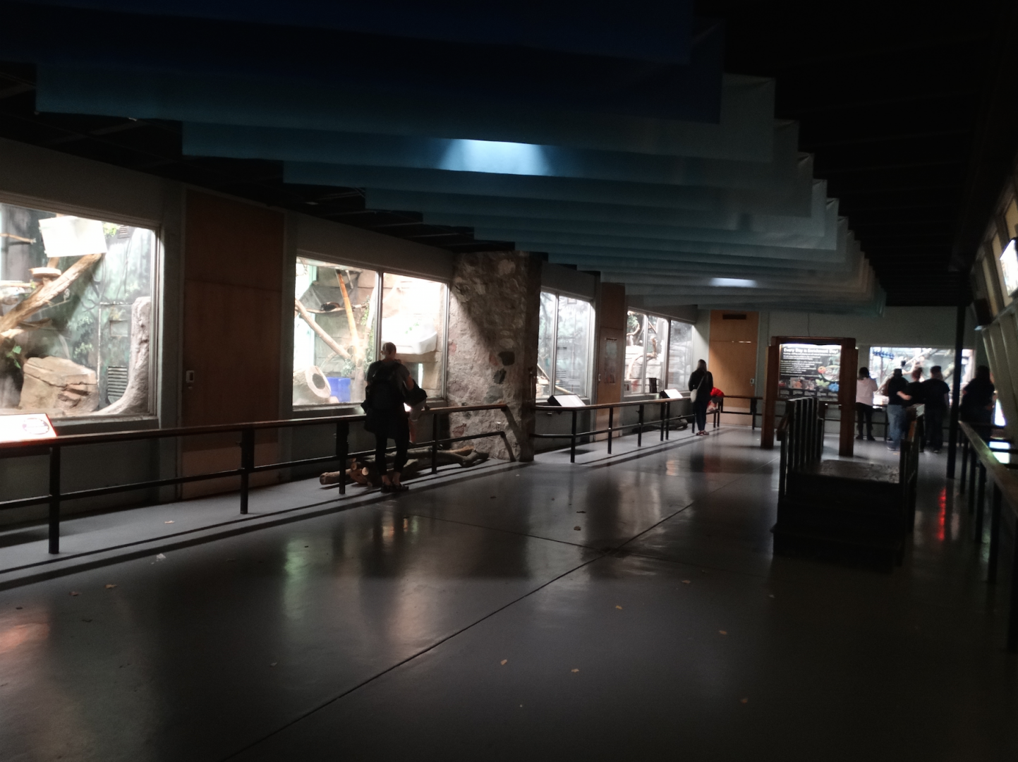 Oct. 2017 - Small Mammals