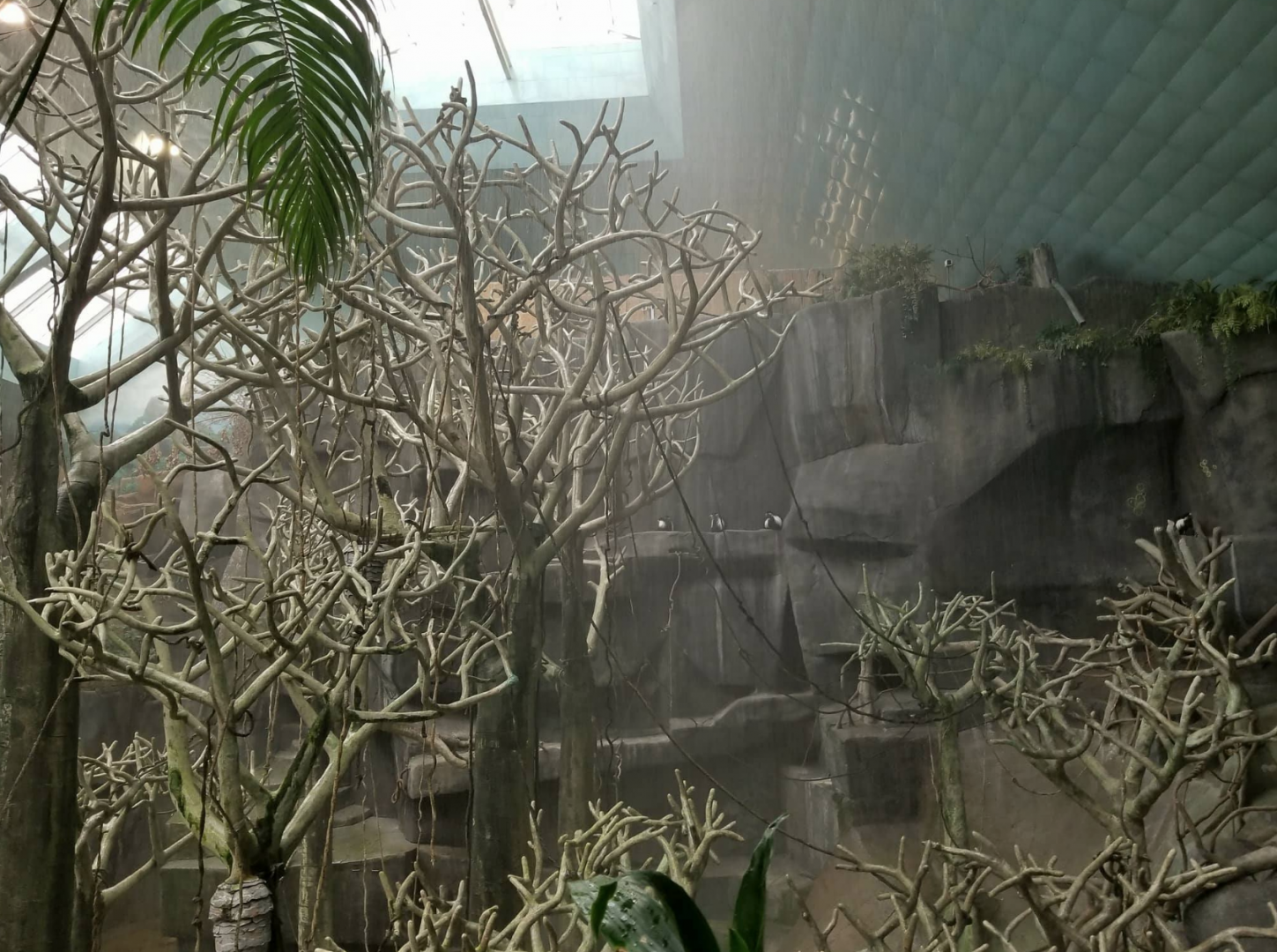 Oct. 2017 - Tropic World - Africa - Simulated Storm