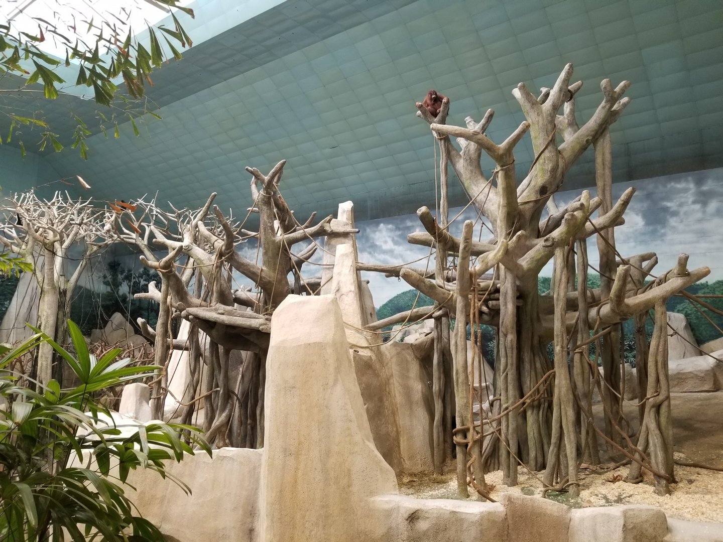 Oct. 2017 - Tropic World - Asia