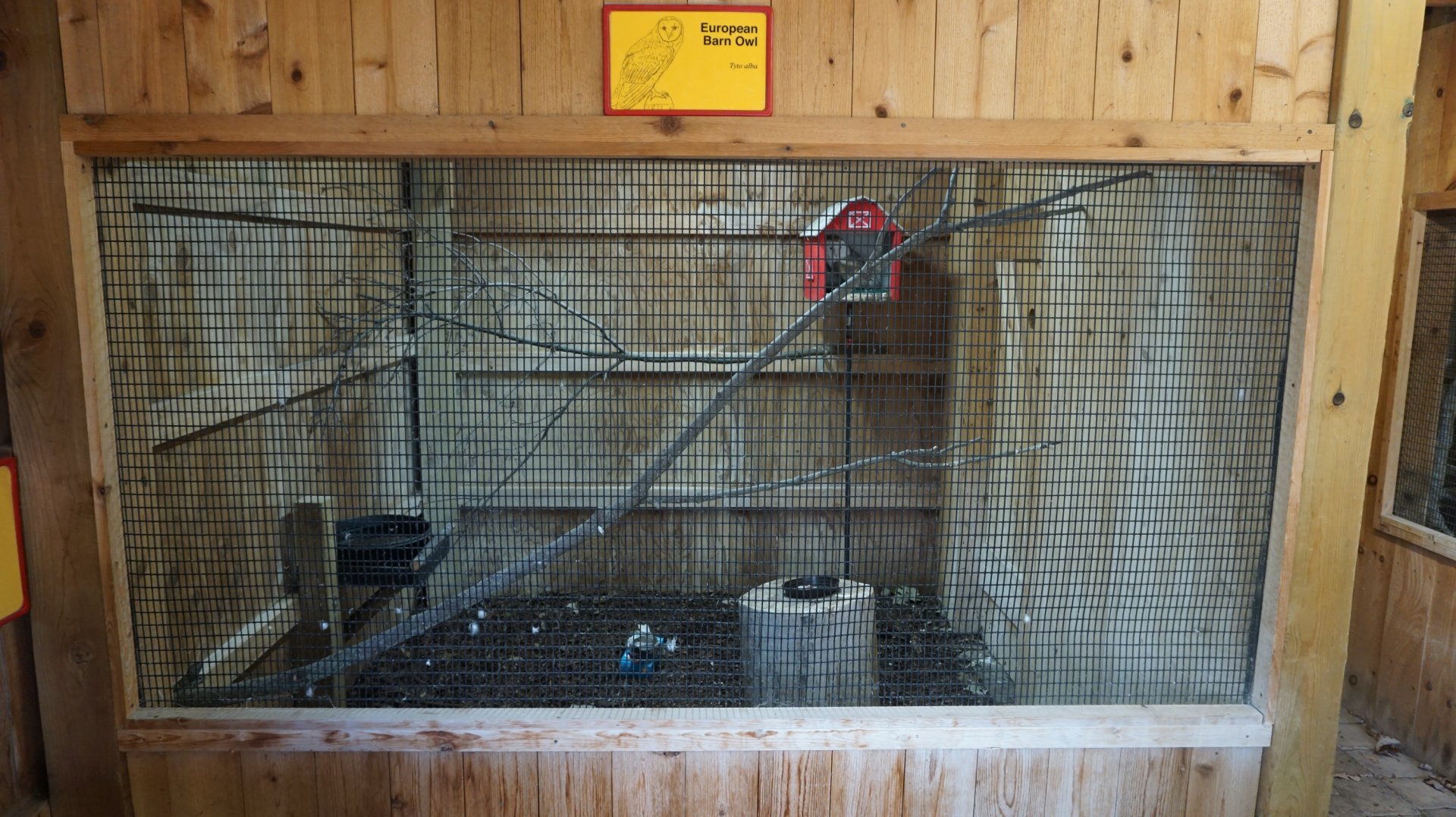 Oct. 2018 - Raptor Barn - European Barn Owl Exhibit