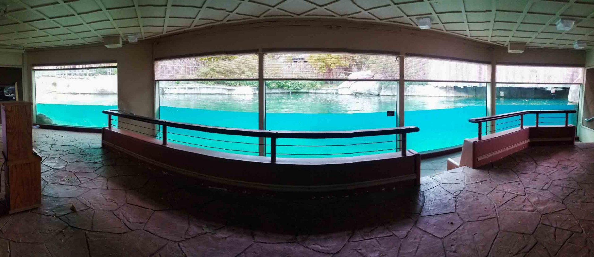 Oct. 2018 - Tembo Trail - Hippoquarium Panorama