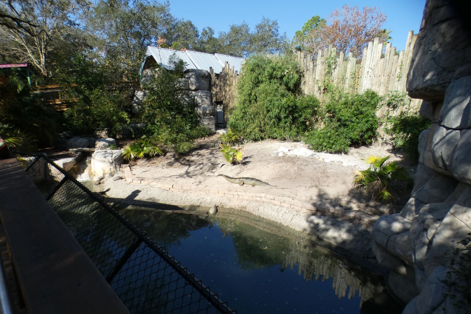 Oct. 2020 - Asian Gardens - Indian Gharial/Black Pond Turtle/Giant Asian Pond Turtle Exhibit