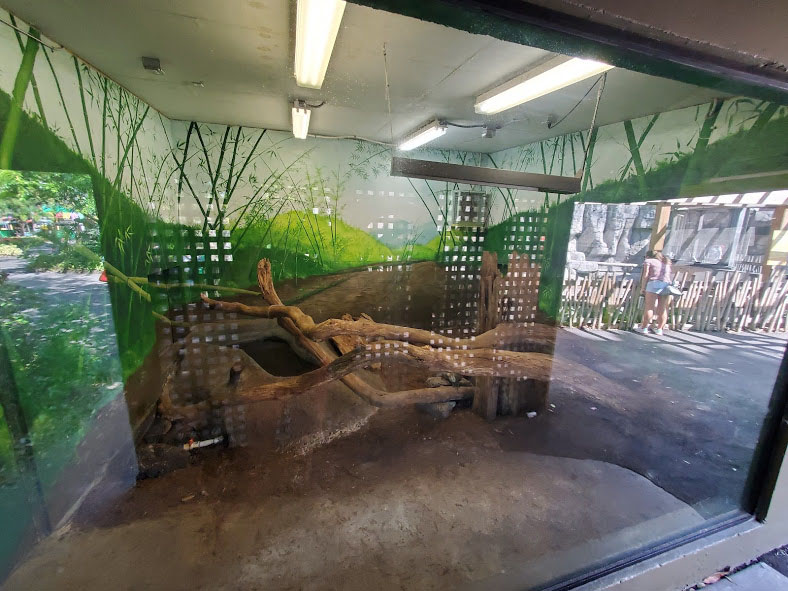 Oct. 2020 - Asian Gardens - Indoor Komodo Dragon Exhibit