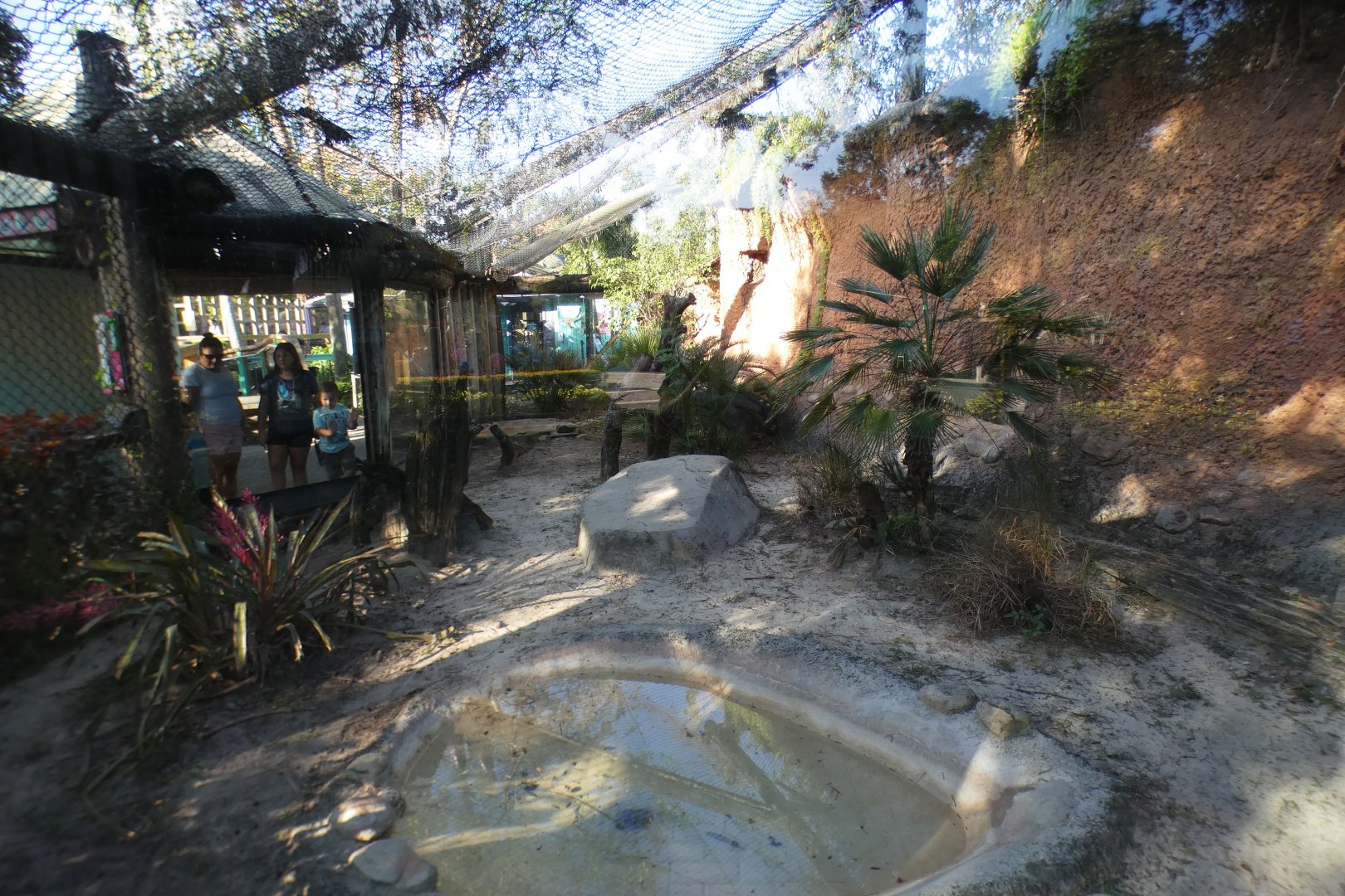 Oct. 2020 - Asian Gardens - Komodo Dragon Exhibit