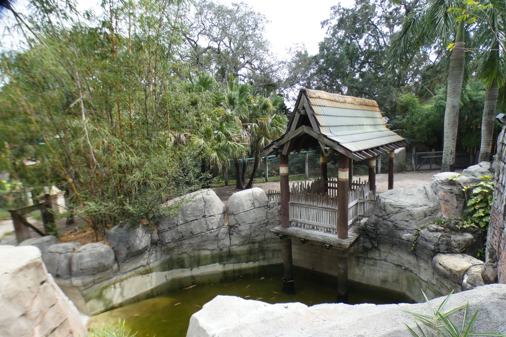 Oct. 2020 - Asian Gardens - Malayan Tapir Exhibit