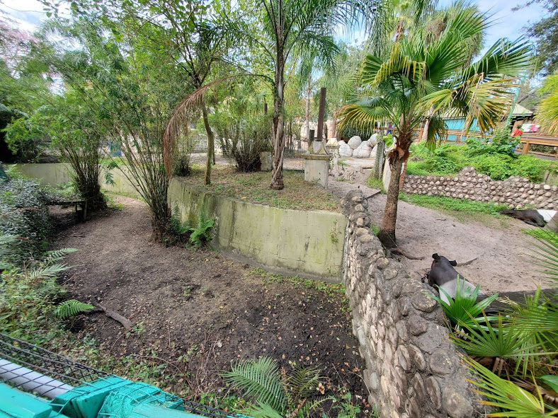 Oct. 2020 - Asian Gardens - Pig + Malayan Tapir Exhibit