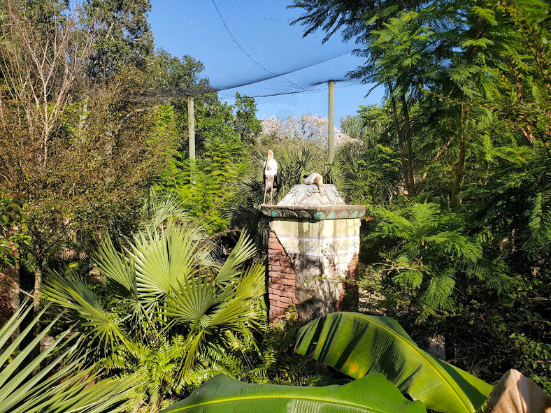 Oct. 2020 - Asian Gardens - Sulawesi Aviary (14 Species)
