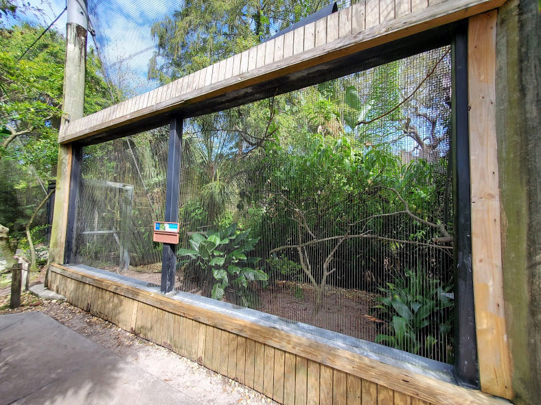 Oct. 2020 - Aviary - Cuban Amazon Exhibit