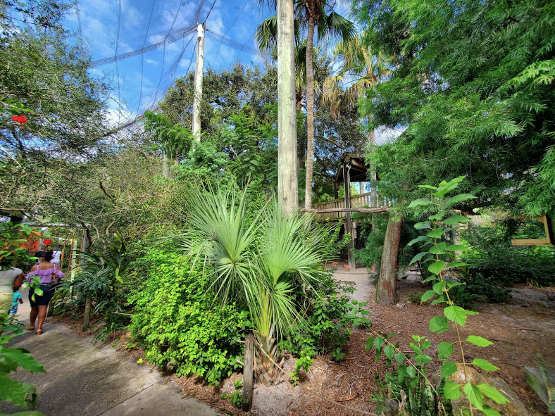 Oct. 2020 - Aviary - First Walk-thru Aviary (15 Species)