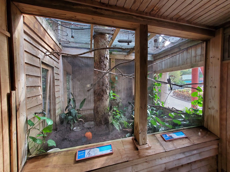 Oct. 2020 - Aviary - Red-billed Hornbill/Crested Wood Partridge Exhibit