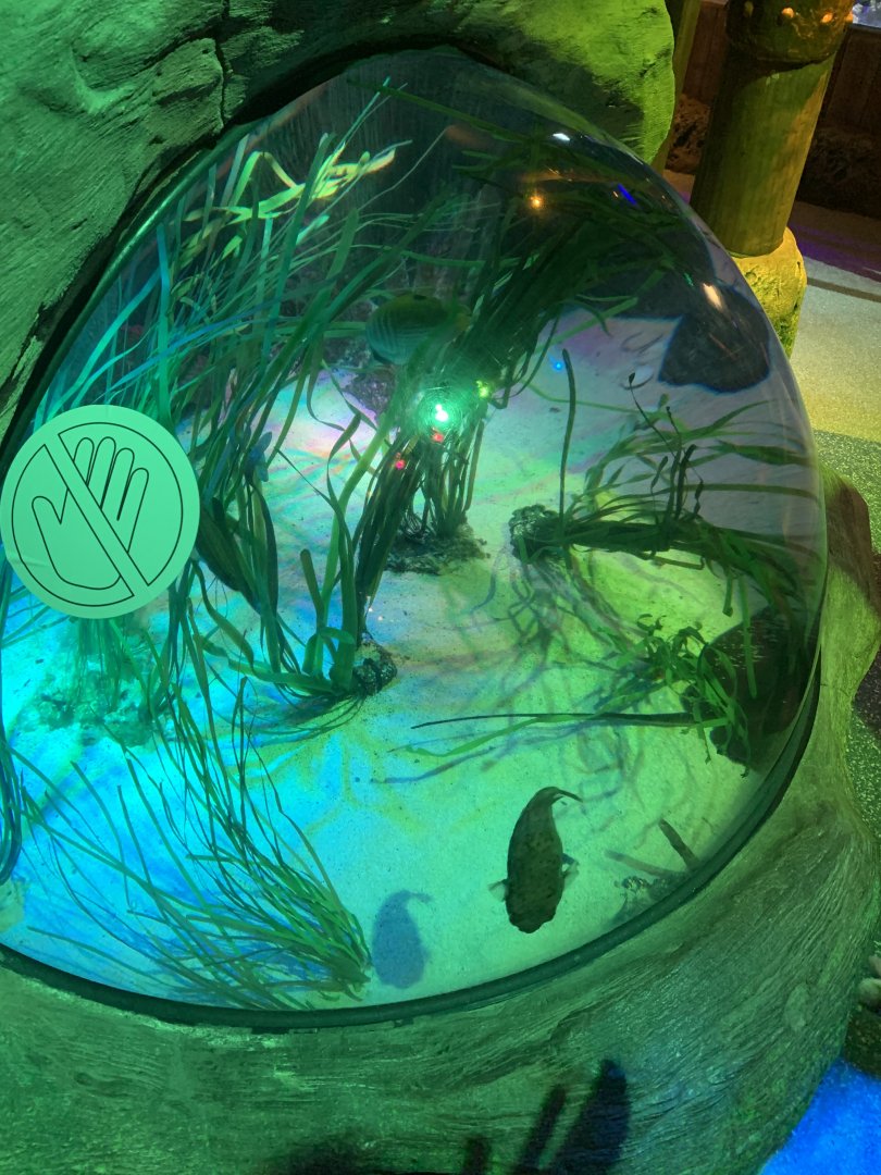 Oct. 2020- Bubble tank