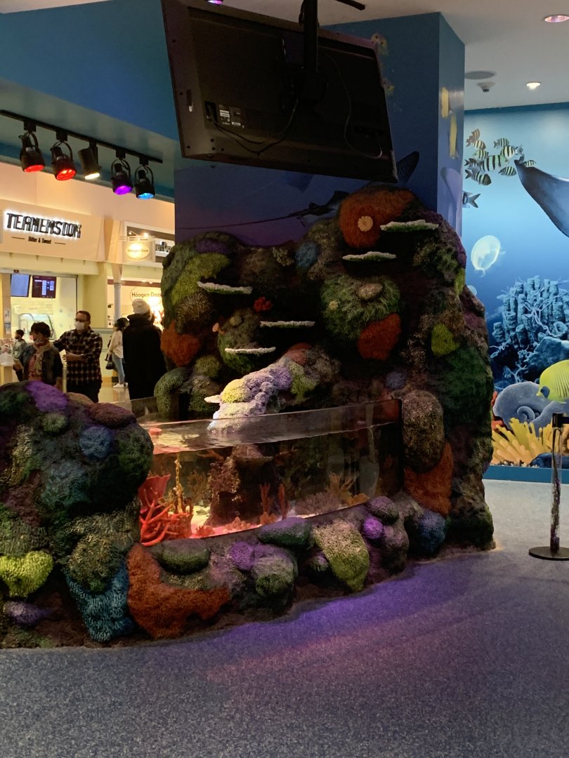 Oct. 2020- Entrance tank