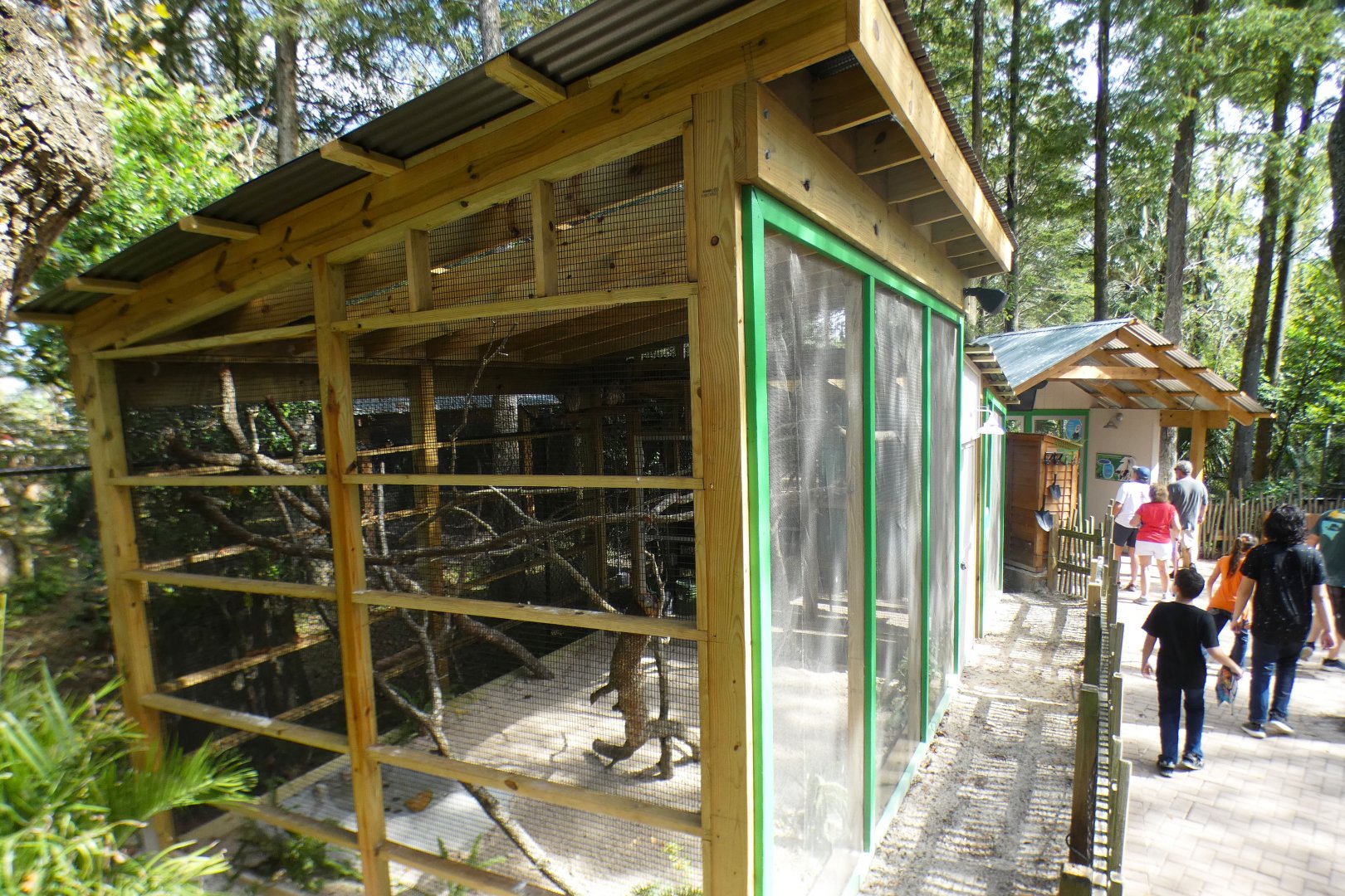 Oct. 2020 - Florida - Barred Owl Exhibit