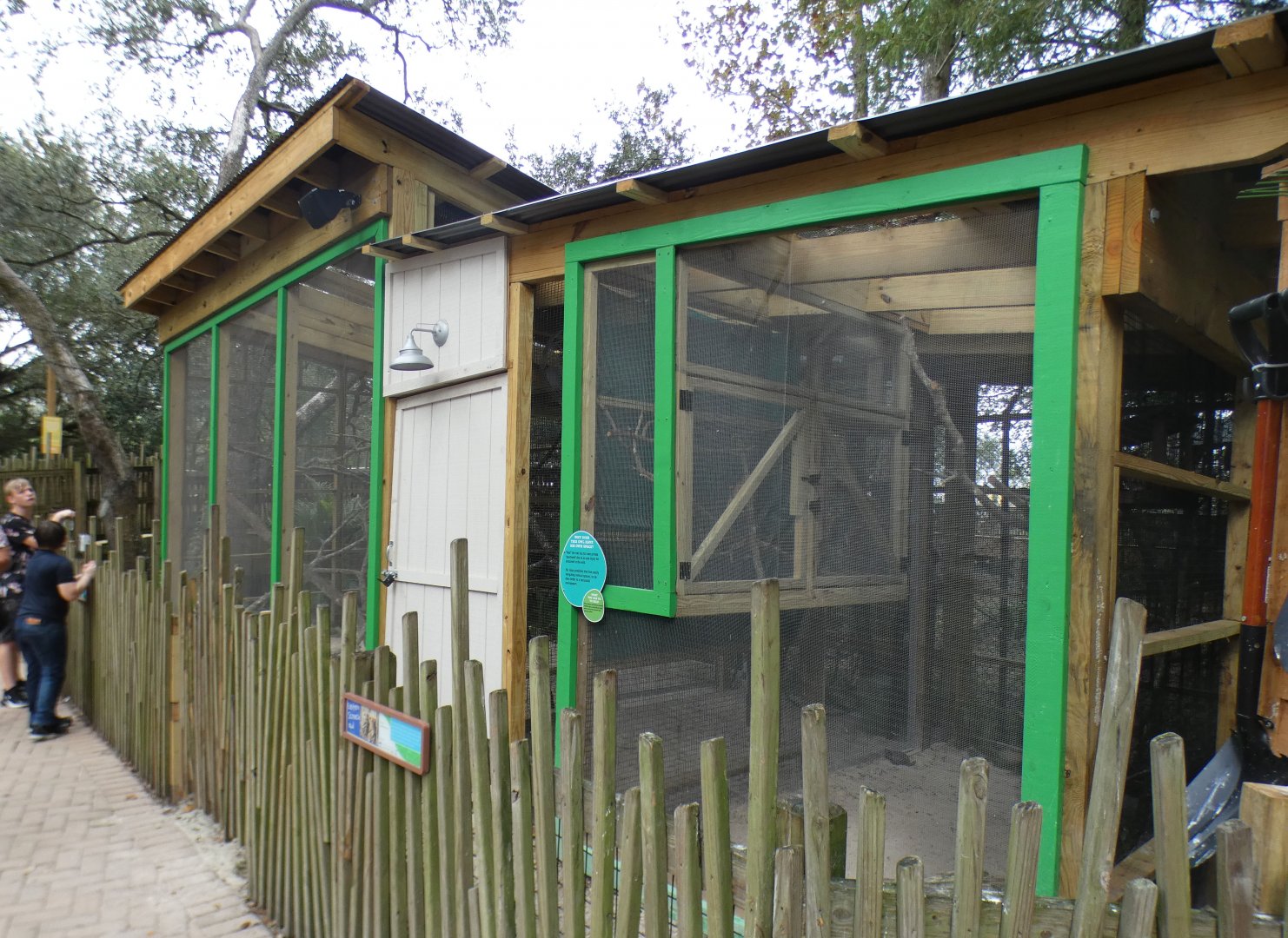 Oct. 2020 - Florida - Eastern Screech Owl + Barred Owl Exhibits