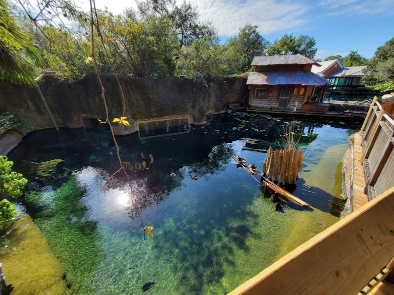 Oct. 2020 - Florida - Florida Manatee + Others Tank (Left Tank)