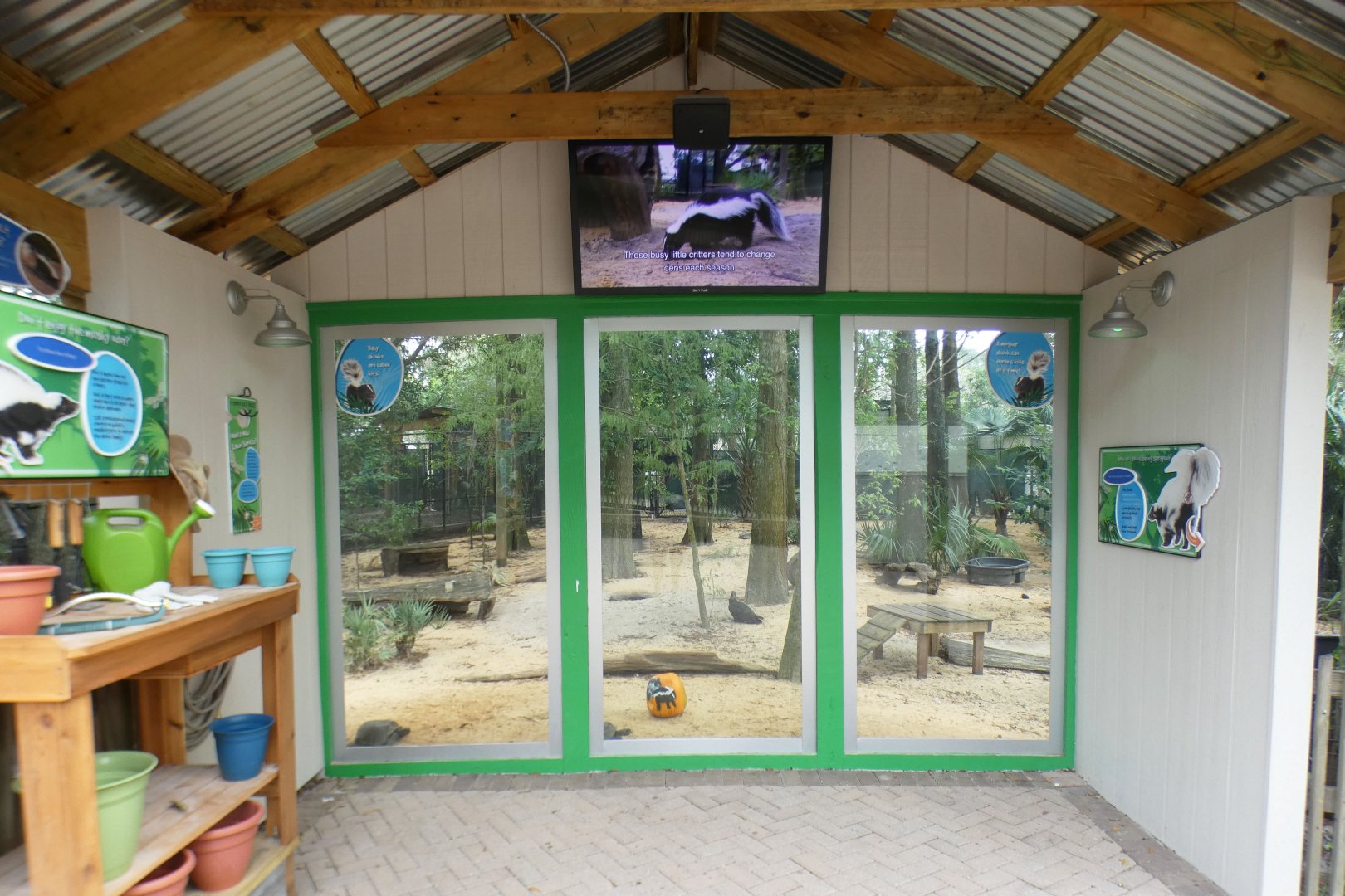 Oct. 2020 - Florida - Skunk/Tortoise/Turtle/Crane Exhibit Viewing