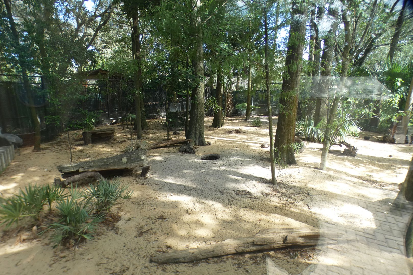 Oct. 2020 - Florida - Skunk/Tortoise/Turtle/Crane Exhibit