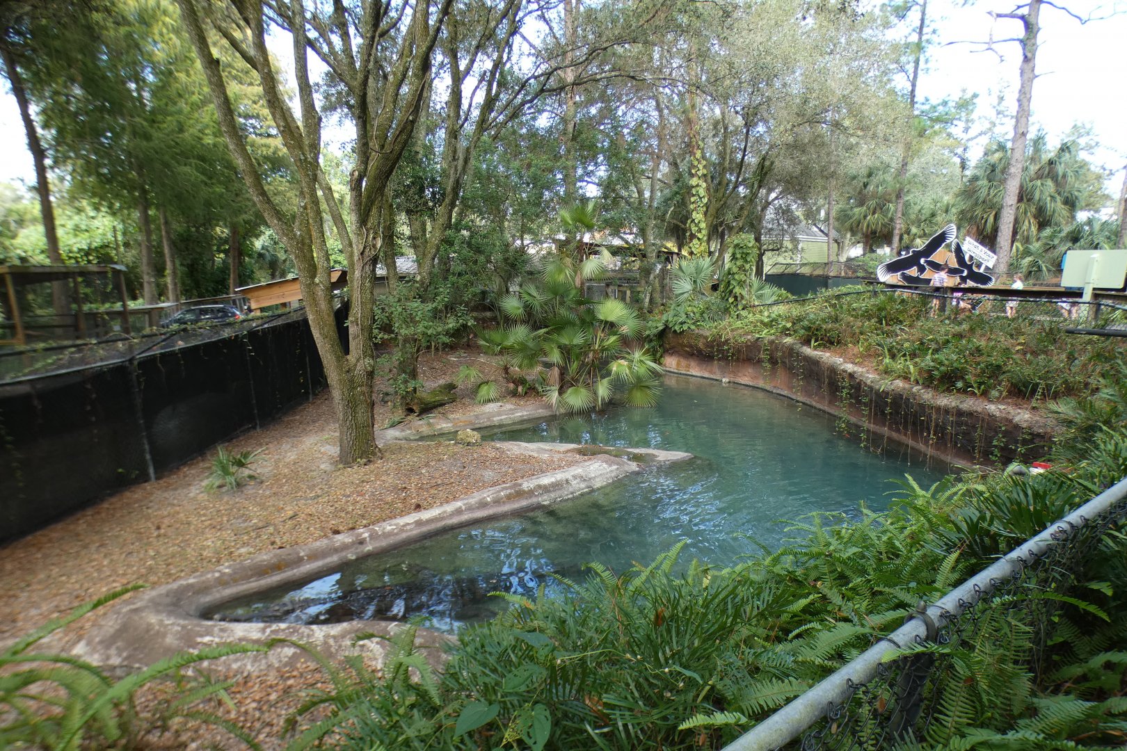 Oct. 2020 - Florida - Tomistoma Exhibit