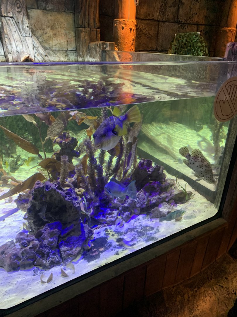 Oct 2020- Harbor tank