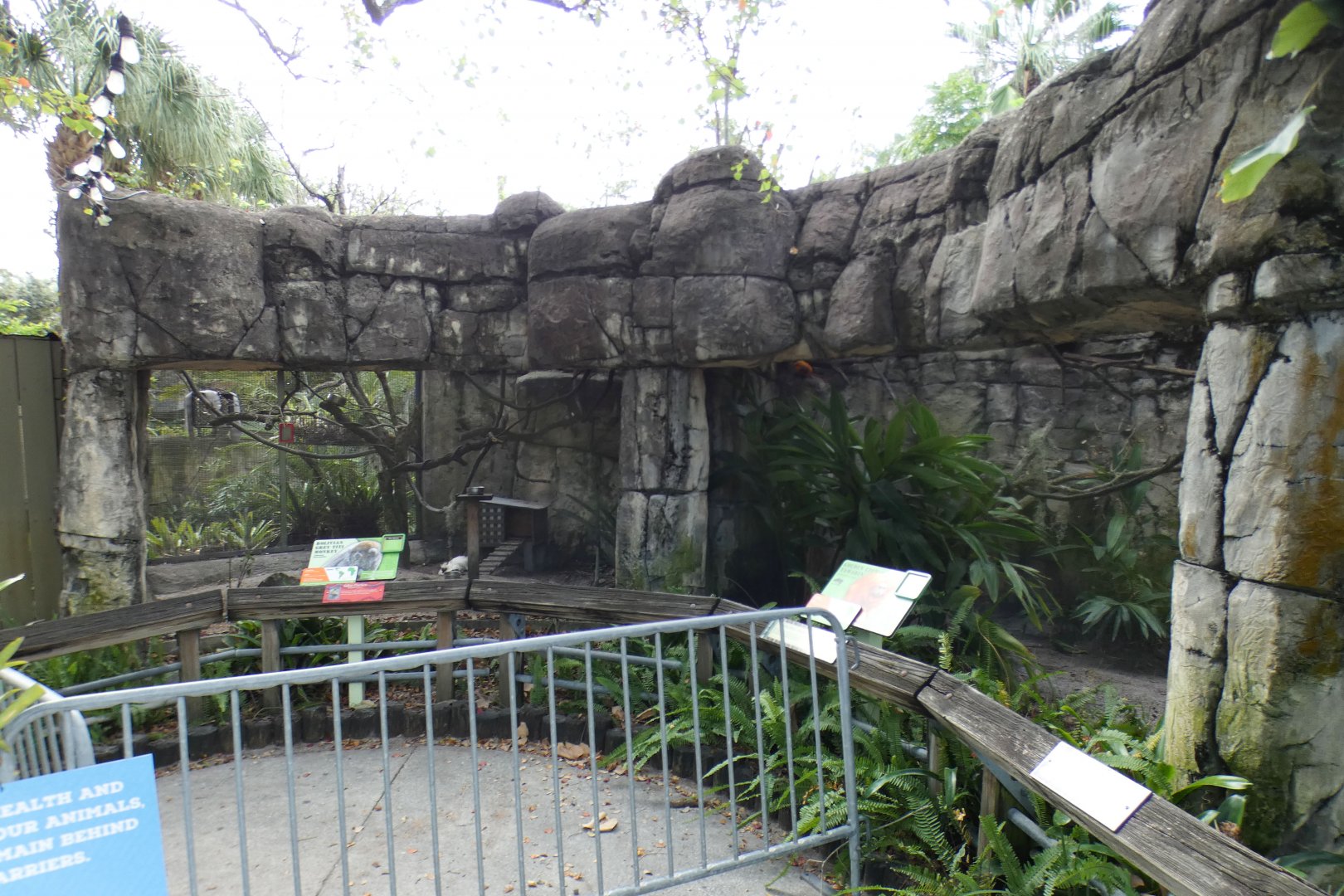 Oct. 2020 - Primate World - Bolivian Gray Titi Monkey + Golden Lion Tamarin Exhibits