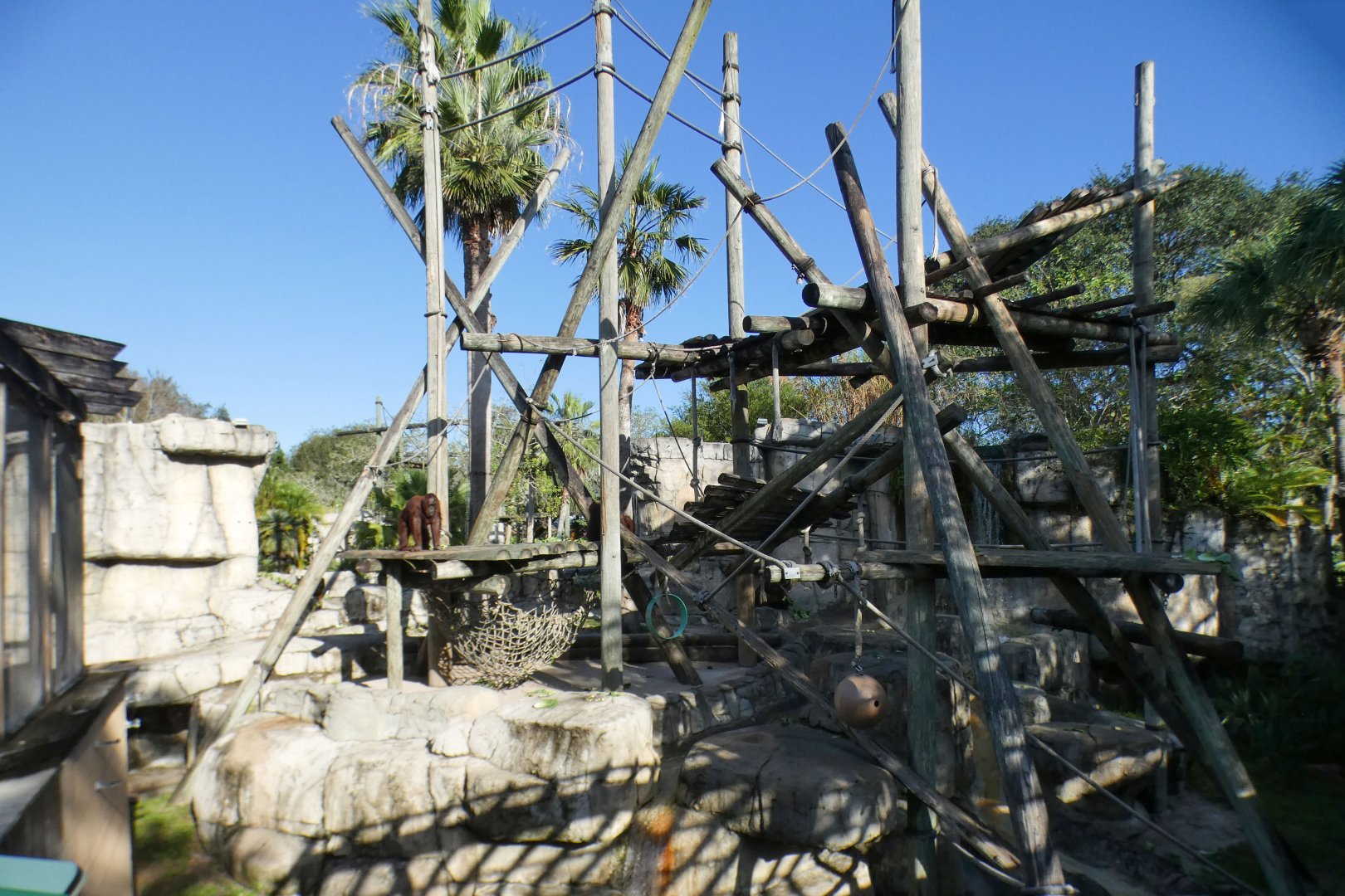 Oct. 2020 - Primate World - Bornean Orangutan Exhibit