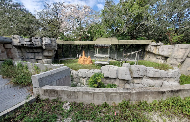 Oct. 2020 - Primate World - Future Bonobo/Former Chimpanzee Exhibit