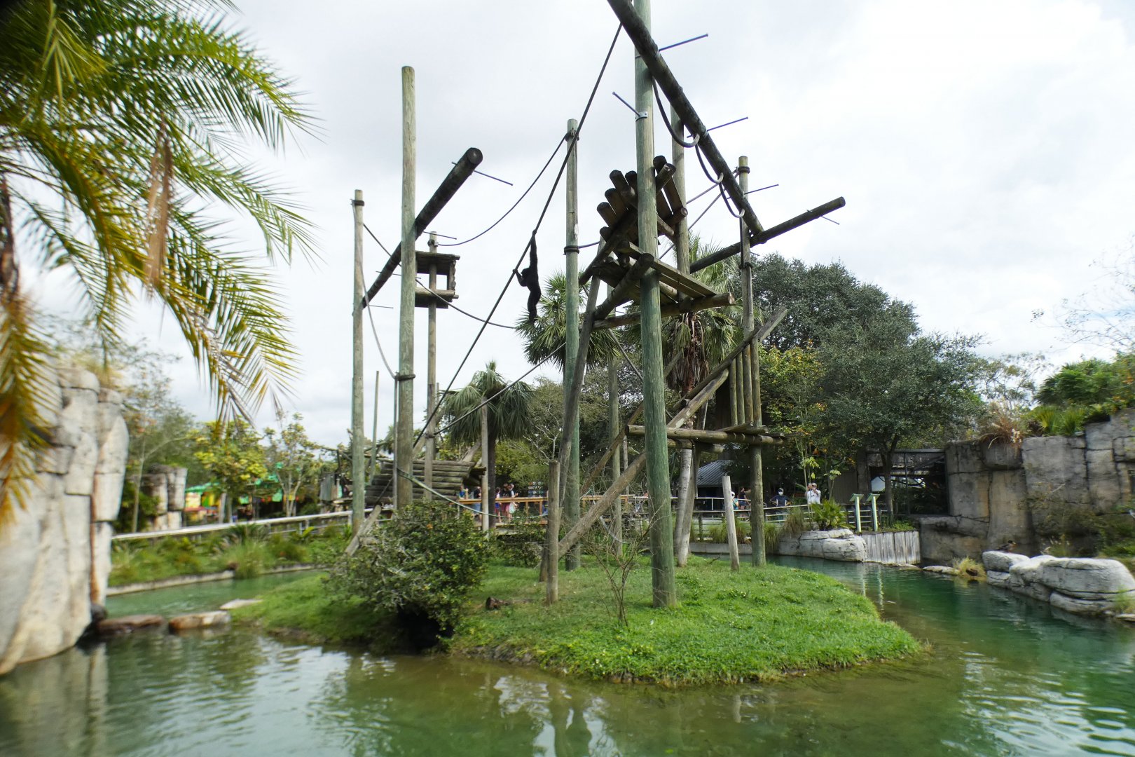 Oct. 2020 - Primate World - Siamang Exhibit