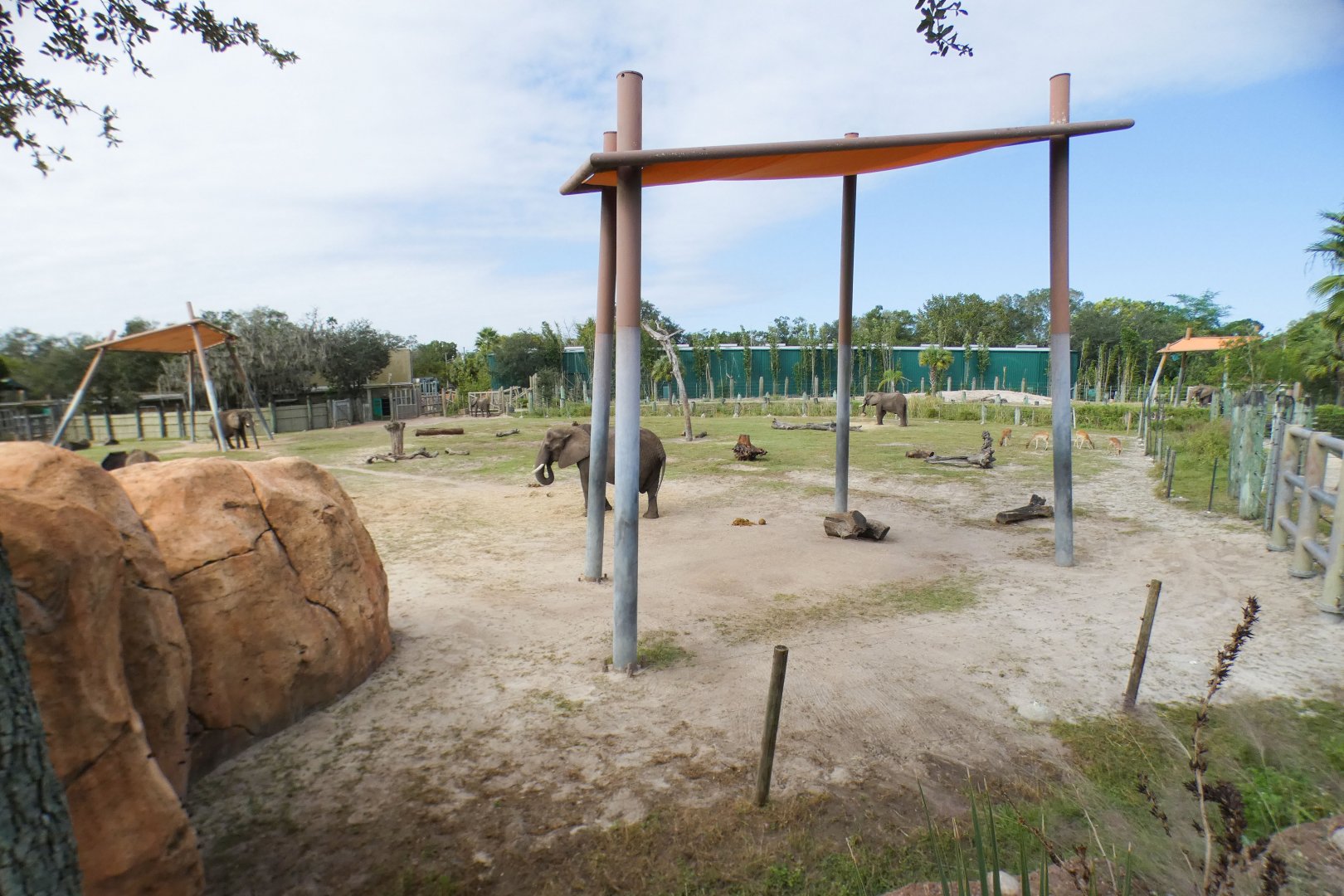 Oct. 2020 - Safari Africa - 1.25 Acre African Elephant/Nile Lechwe/Kenyan Impala Exhibit