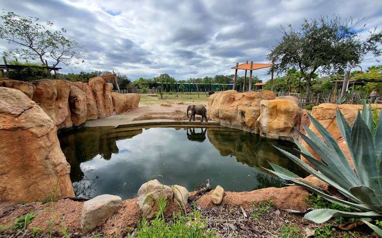 Oct. 2020 - Safari Africa - 1.25 Acre African Elephant/Nile Lecwhe/Impala Exhibit