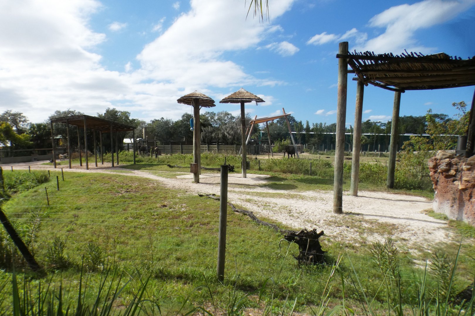 Oct. 2020 - Safari Africa - Reticulated Giraffe/Mountain Zebra + Elephant Exhibits