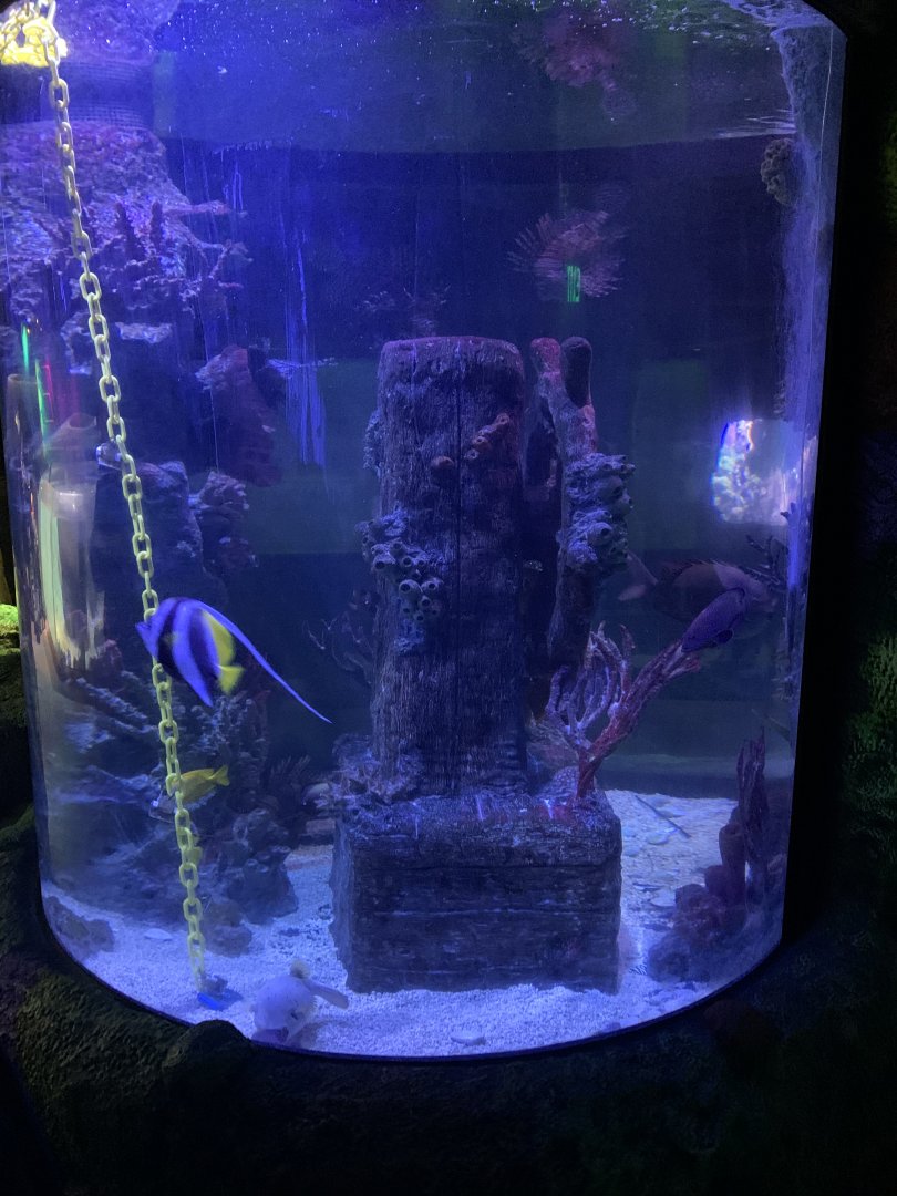 Oct 2020- Shipwreck cylinder tank