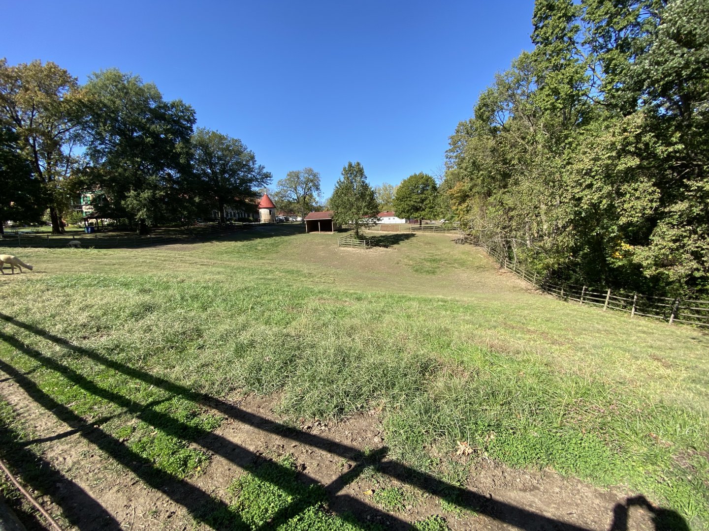 Oct. 2021 - Alpaca Exhibit