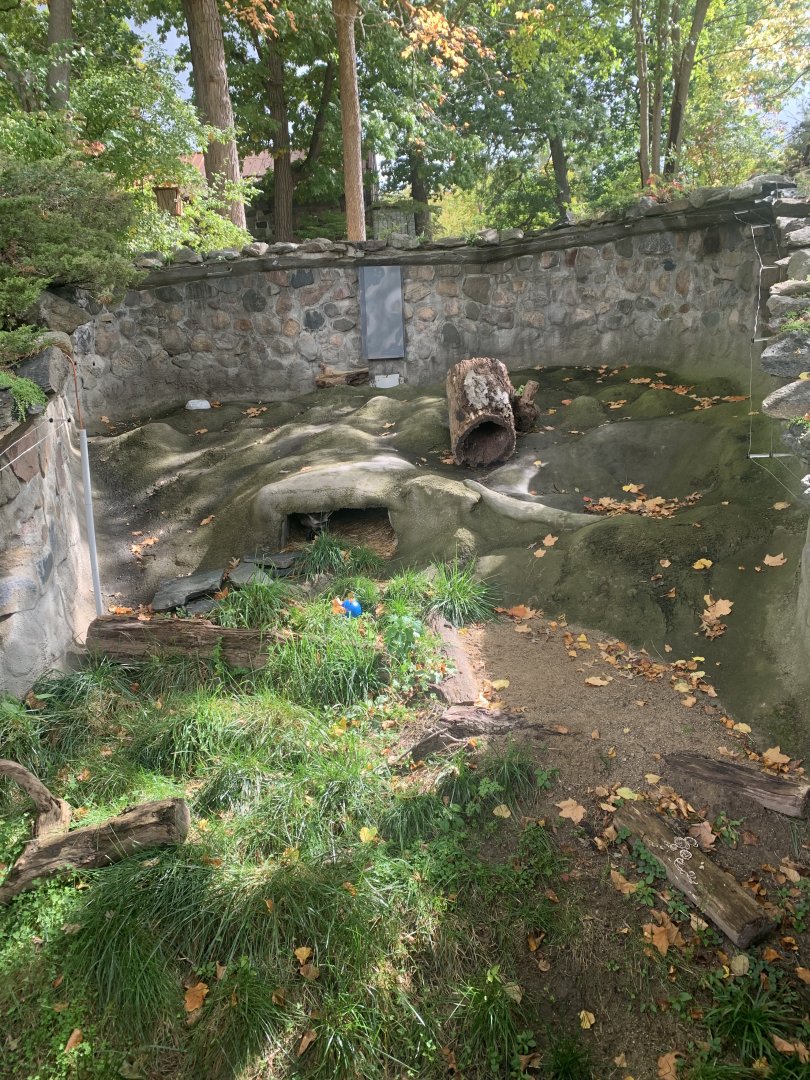 Oct. 2021- Bat-eared fox exhibit