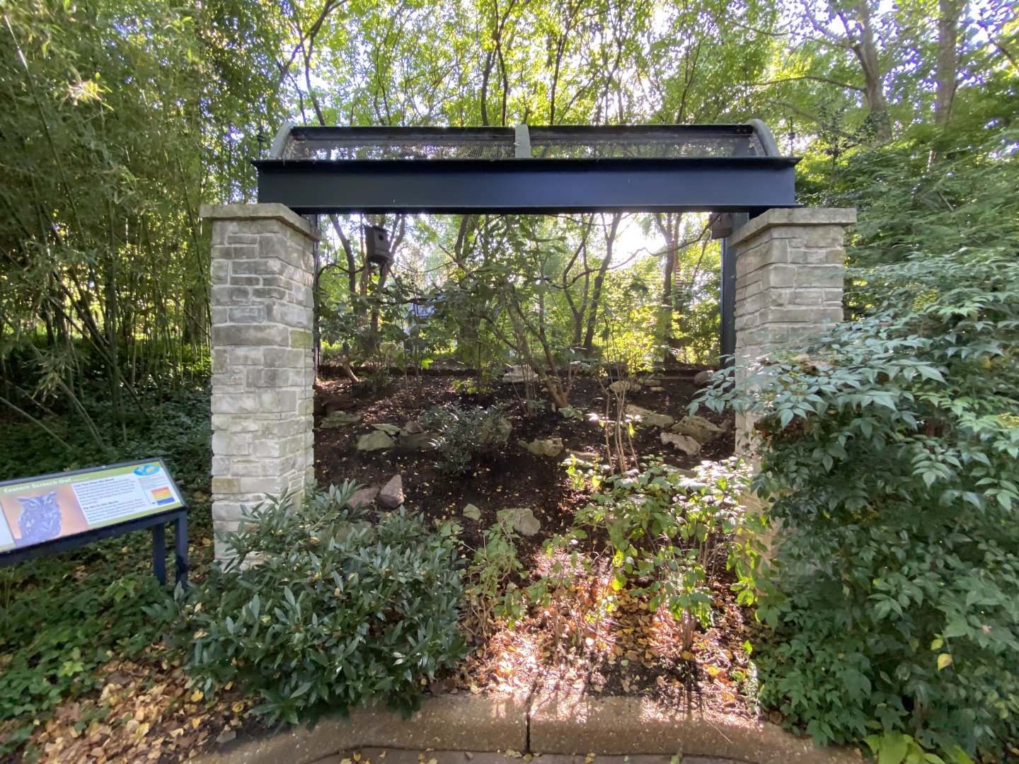 Oct. 2021 - Bird Garden - Eastern Screech Owl Exhibit