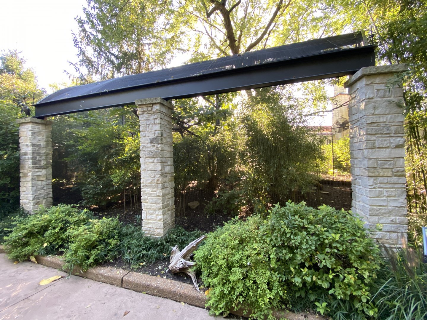 Oct. 2021 - Bird Garden - Grey-winged Trumpeter Exhibit