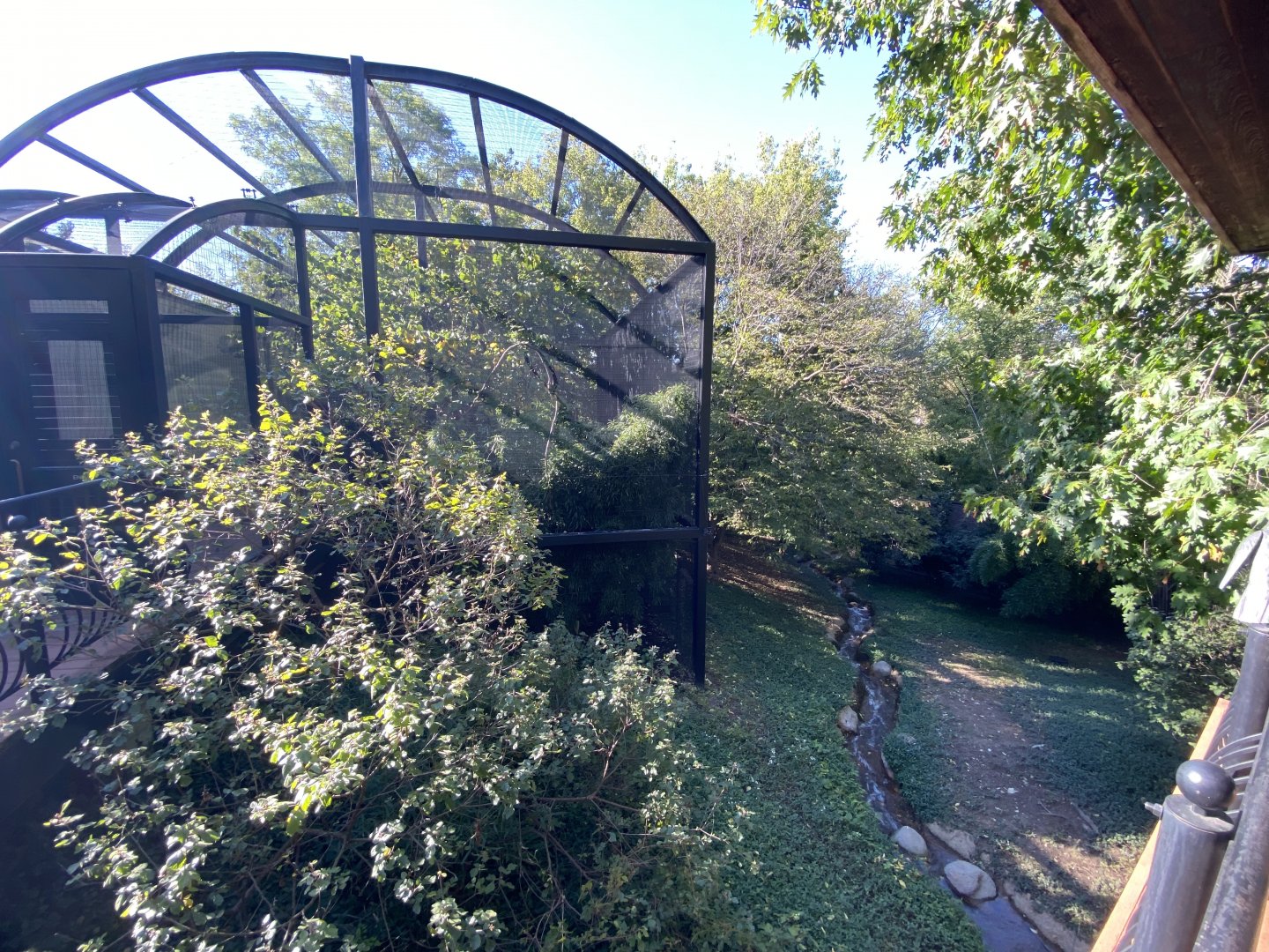 Oct. 2021 - Bird Garden - White-naped Crane Exhibit + Walkthrough Aviary