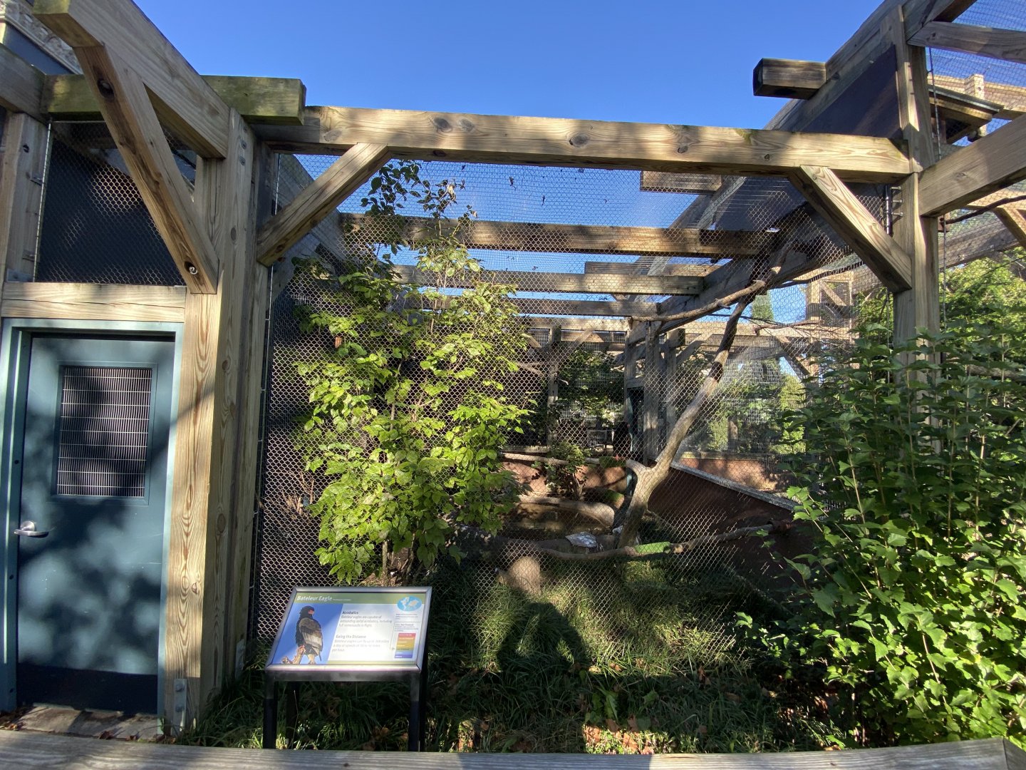 Oct. 2021 - Bird House - Bateleur Eagle Exhibit